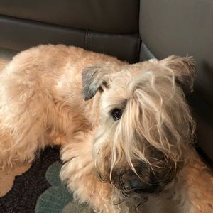 Meet your Posher, Renee